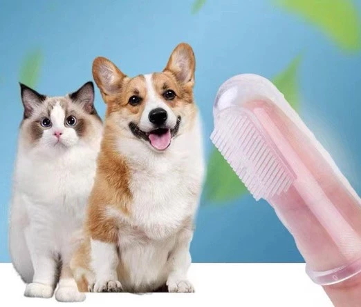 Evcil Hayvan Kedi Köpek Parmağa Takılan Diş Kaşıma Fırçası - 4