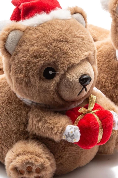 Twigy EE0555 TW REGALO Kadın Hayvanlı Panduf Kahve 36-41 - 2