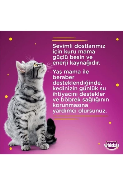Whiskas Tastymix Kuzu ve Hindi Etli Yetişkin Kedi Maması 28 x 85 G - 4