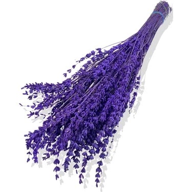 Dyed Lavender Bunch Purple Lavanta Demeti Mor (100 Gr) - 3