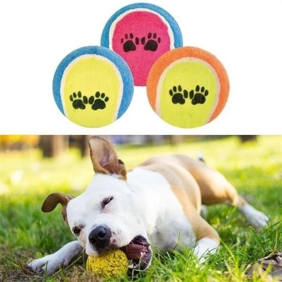 3lü Renkli Desenli Tenis Topu Kedi Köpek Oyuncağı - 2