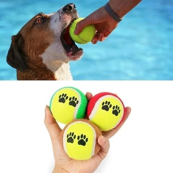 3lü Renkli Desenli Tenis Topu Kedi Köpek Oyuncağı - 5