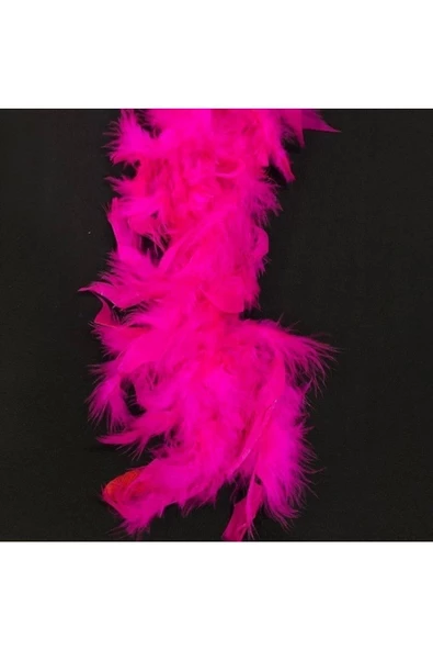 RAYTOYS OYUNCAK   100 Adet Fuşya Kuş Tüyü Fuchsia Bırd Feather Fuşya Şeffaf Balon Tüyü Dekoratik Fuşya Süsleme Tüyü