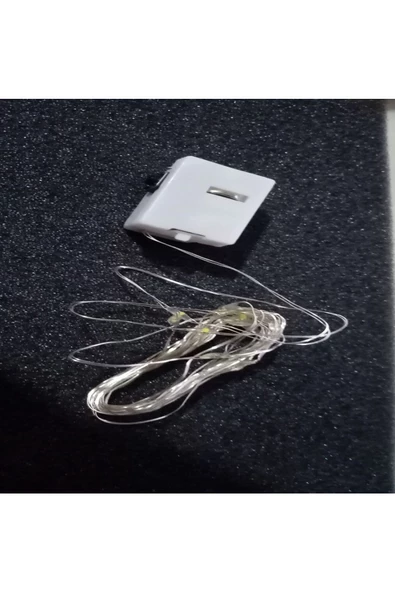 RAYTOYS OYUNCAK DEKOR DÜĞÜN IŞIKLARI GÜN IŞIĞI LED IŞIK WARM LİGHT HIZLI YAVAŞ SABİT YANAR PİLLİ LED IŞIK 2 METRE - 4