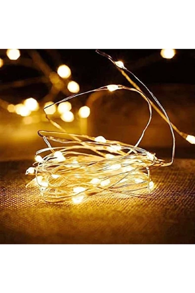 RAYTOYS OYUNCAK DEKOR DÜĞÜN IŞIKLARI GÜN IŞIĞI LED IŞIK WARM LİGHT HIZLI YAVAŞ SABİT YANAR PİLLİ LED IŞIK 2 METRE