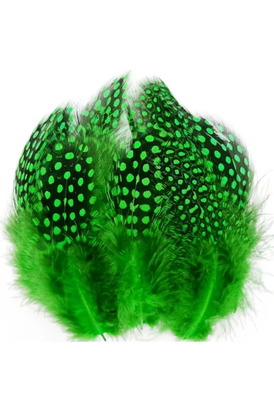 RAYTOYS OYUNCAK   100 PCS DECOR GREEN BIRD FEATHER 100 ADET PUANTİYELİ YEŞİL SİYAH KUŞ TÜYÜ DEKOR YEŞİL KUŞ TÜYÜ