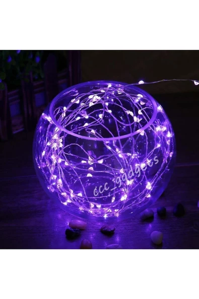 RAYTOYS OYUNCAK   2 Metre Mor Pilli Led Işık Mor Led Işık Mor Yılbaşı Ağacı Işığı Mor Noel Işığı Purple Christmas Led - Resim 2