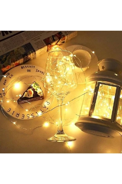 RAYTOYS OYUNCAK   5 Metre Gün Işığı Pilli Led Işık Gün Işığı Led Işık Yılbaşı Ağacı Işığı Noel Işığı Warm Light - Resim 2