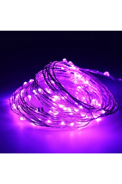 RAYTOYS OYUNCAK   2 Metre Mor Pilli Led Işık Mor Led Işık Mor Yılbaşı Ağacı Işığı Mor Noel Işığı Purple Christmas Led