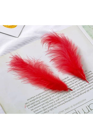 RAYTOYS OYUNCAK   400 PCS DECOR RED BIRD FEATHER 400 ADET KIRMIZI TÜY KIRMIZI ŞEFFAF BALON TÜYÜ SÜSLEME TÜYÜ - 2