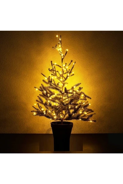 RAYTOYS OYUNCAK   5 Metre Gün Işığı Pilli Led Işık Gün Işığı Led Işık Yılbaşı Ağacı Işığı Noel Işığı Warm Light - Resim 4