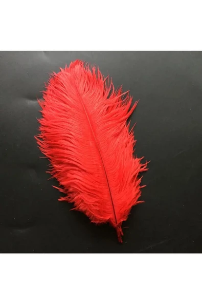 RAYTOYS OYUNCAK 400 PCS DECOR RED BIRD FEATHER 400 ADET KIRMIZI TÜY KIRMIZI ŞEFFAF BALON TÜYÜ SÜSLEME TÜYÜ