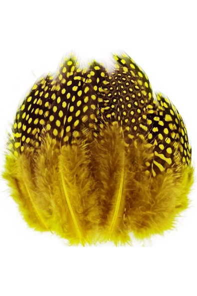 RAYTOYS OYUNCAK   100 PCS DECOR YELLOW BIRD FEATHER 100 ADET PUANTİYELİ SARI SİYAH KUŞ TÜYÜ DEKOR SARI KUŞ TÜYÜ