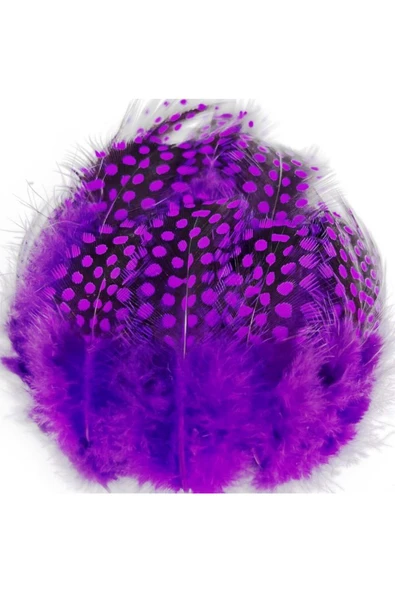 RAYTOYS OYUNCAK   100 PCS DECOR PURPLE BIRD FEATHER 100 ADET PUANTİYELİ MOR SİYAH KUŞ TÜYÜ DEKOR MOR KUŞ TÜYÜ