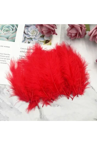 RAYTOYS OYUNCAK 400 PCS DECOR RED BIRD FEATHER 400 ADET KIRMIZI TÜY KIRMIZI ŞEFFAF BALON TÜYÜ SÜSLEME TÜYÜ - 3