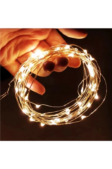 RAYTOYS OYUNCAK   5 Metre Gün Işığı Pilli Led Işık Gün Işığı Led Işık Yılbaşı Ağacı Işığı Noel Işığı Warm Light ürün görseli