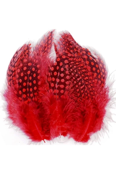 RAYTOYS OYUNCAK   100 PCS DECOR RED BIRD FEATHER 100 ADET PUANTİYELİ KIRMIZI SİYAH KUŞ TÜYÜ DEKOR KIRMIZI KUŞ TÜYÜ