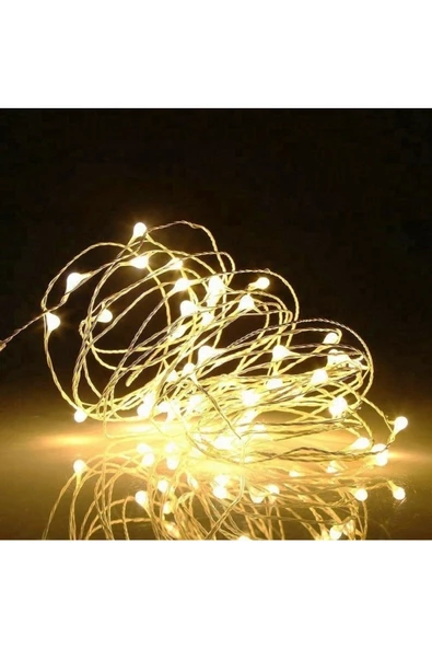 RAYTOYS OYUNCAK   5 Metre Gün Işığı Pilli Led Işık Gün Işığı Led Işık Yılbaşı Ağacı Işığı Noel Işığı Warm Light - Resim 3