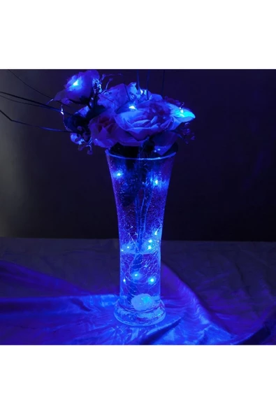 RAYTOYS OYUNCAK   10 Metre Mavi Pilli Led Işık Mavi Led Işık Mavi Yılbaşı Ağacı Işığı Mavi Noel Işığı 100 Ledli Mavi - Resim 4