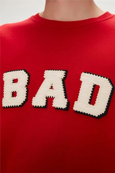 BAD BEAR ERKEK FELT CREWNECK 23.02.12.013 - 12