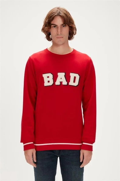 BAD BEAR ERKEK FELT CREWNECK 23.02.12.013 - 8