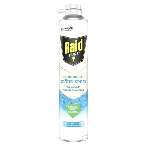 Raid Pure Böcek Dondurucu Sprey 350 ml