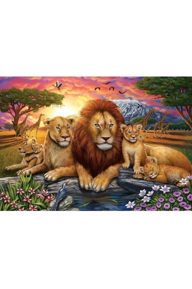 Art Puzzle Aslan Ailesi - 1000 Parça 5221 - 2