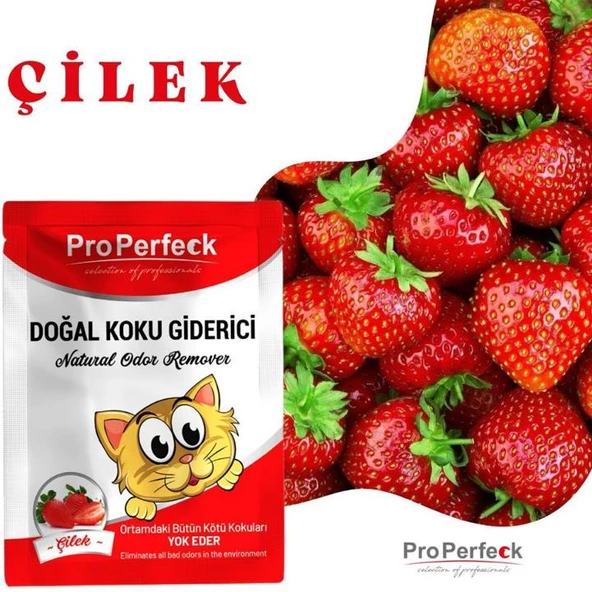 Pro Perfeck Koku Giderici Çilek 15’li