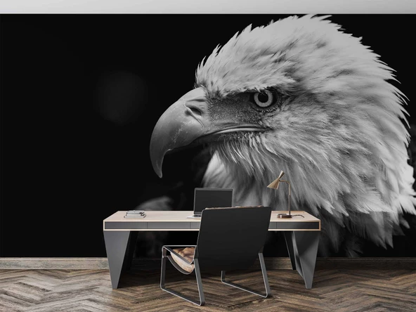 Siyah Beyaz Kartal Temalı Duvar Kağıdı Baskı - Resim 3