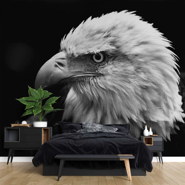 Siyah Beyaz Kartal Temalı Duvar Kağıdı Baskı - Resim 2
