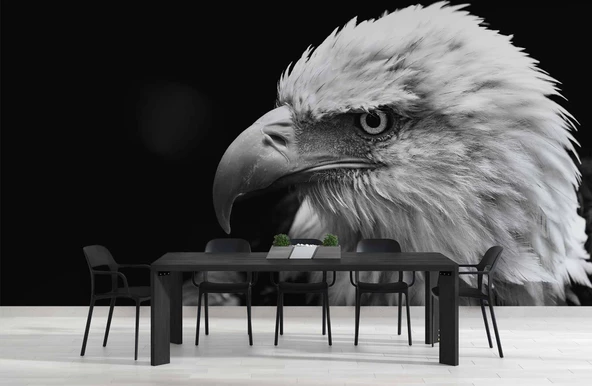 Siyah Beyaz Kartal Temalı Duvar Kağıdı Baskı - Resim 4