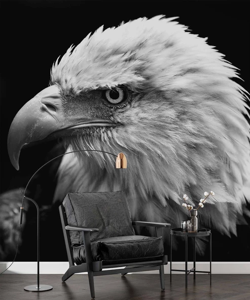 Siyah Beyaz Kartal Temalı Duvar Kağıdı Baskı - Resim 5