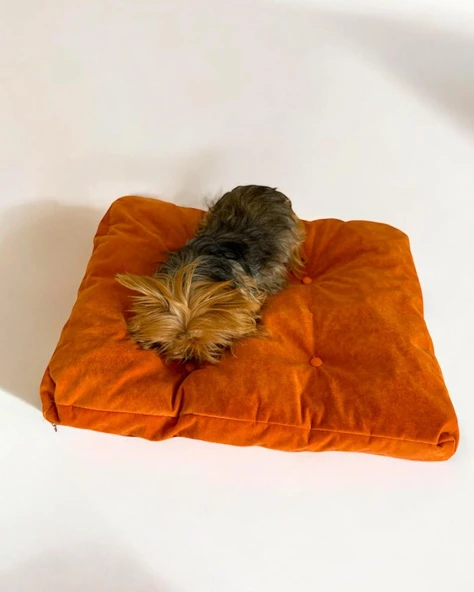POUCH ORANJ Kedi Köpek Minderi  65 X 50 CM CM - 2
