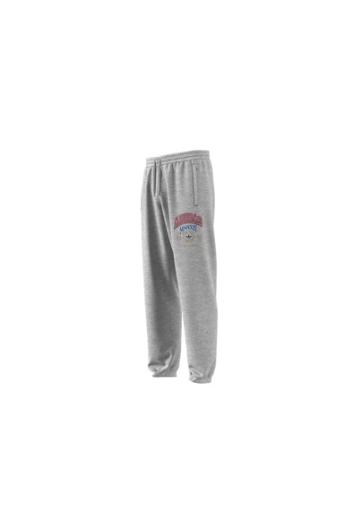 adidas VRCT PANTS 1 Erkek   Eşofman Altı IX6774 - 11