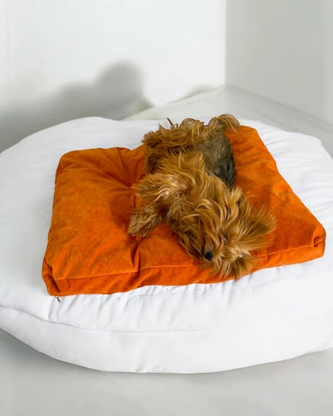 POUCH ORANJ Kedi Köpek Minderi  65 X 50 CM CM - 4