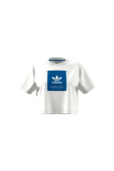 adidas KSENIA GFX TEE Kadın   T-Shirt IW5662 - 9