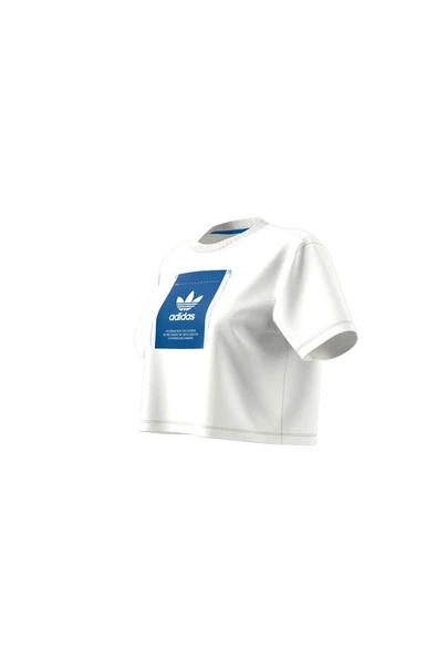 adidas KSENIA GFX TEE Kadın   T-Shirt IW5662 - 12