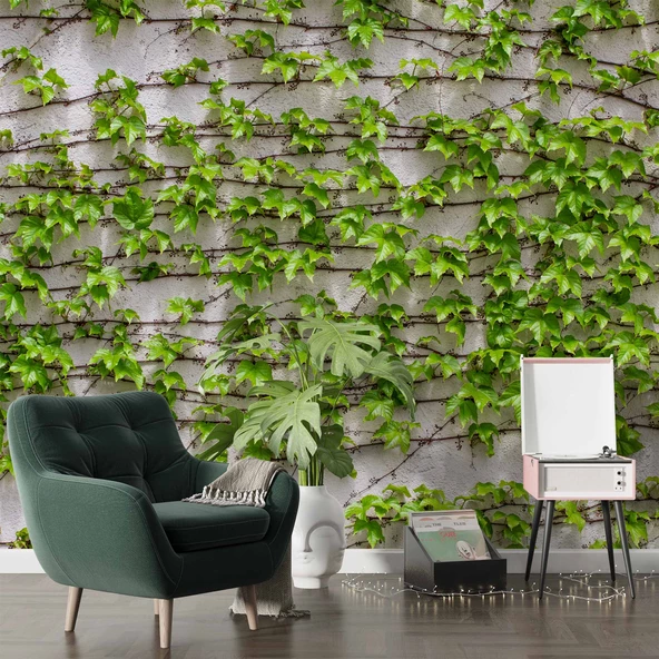 Sarmaşıklı Duvar Teması Duvar Kağıdı Baskı - Resim 6