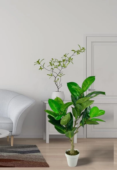 Nettenevime Yapay Çiçek Kauçuk Ağacı 85cm Salon Çiçeği Beyaz Saksılı Yapay Bitki - Resim 3