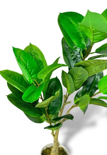 Nettenevime Yapay Çiçek Kauçuk Ağacı 85cm Salon Çiçeği Beyaz Saksılı Yapay Bitki - Resim 8