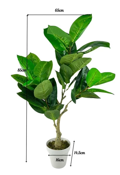 Nettenevime Yapay Çiçek Kauçuk Ağacı 85cm Salon Çiçeği Beyaz Saksılı Yapay Bitki - Resim 2