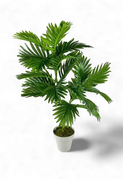Nettenevime Yapay Çiçek Areka Palmiye Ağacı 85cm 2Dal Salon Çiçeği Beyaz Saksılı Yapay Bitki ürün görseli