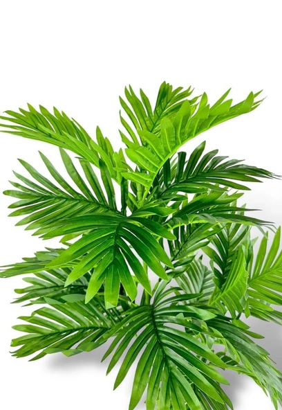 Nettenevime Yapay Çiçek Areka Palmiye Ağacı 85cm 2Dal Salon Çiçeği Beyaz Saksılı Yapay Bitki - Resim 6