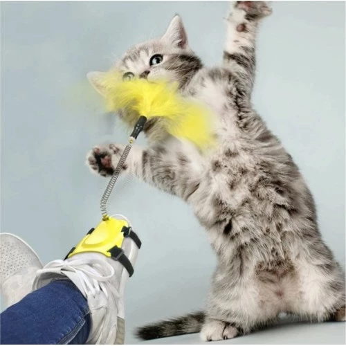 Ayağa Takılan Kedi Oyun Oltası - 3
