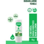 Siveno Doğal Dudak Koruyucu Nane & Limon 6g ürün görseli 1