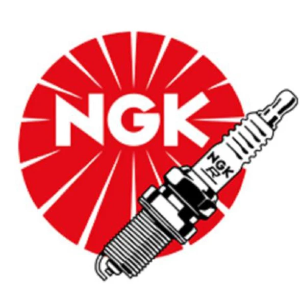 NGK Iridium Buji - GR9DI-8 ROTAX - 2