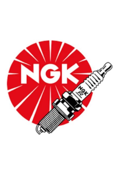 NGK Iridium Buji - GR9DI-8 ROTAX
