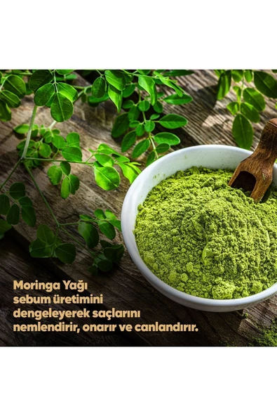 DP DAİLY PERFECTİON 2 Adet Moringa Yağı Şampuan 425 Ml & 1 Adet Pamuk Sütü Buğday Proteini Saç Bakım Kremi 350 ml Set - 4