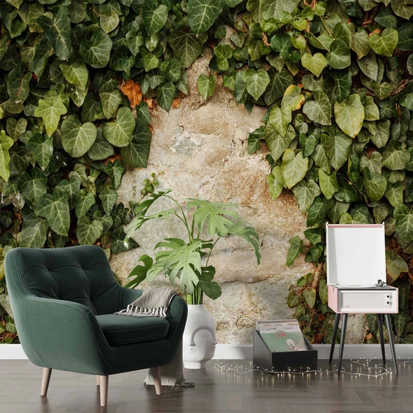 Duvar Dokusu ve Sarmaşık Duvar Kağıdı Baskı - Resim 7