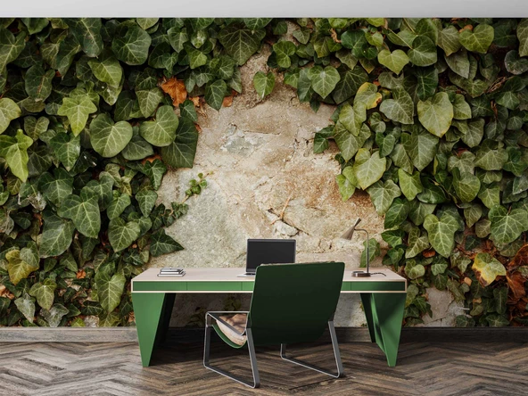 Duvar Dokusu ve Sarmaşık Duvar Kağıdı Baskı - Resim 6